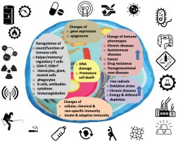 https://www.publichealthtoxicology.com/f/fulltexts/135057/PHT-2021-01-g003_min.jpg