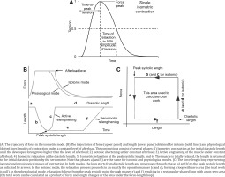 https://www.publichealthtoxicology.com/f/fulltexts/150787/PHT-2-11-g001_min.jpg