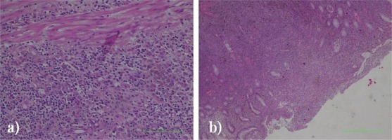 https://www.publichealthtoxicology.com/f/fulltexts/159114/PHT-3-1-g001_min.jpg