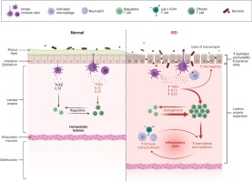 https://www.publichealthtoxicology.com/f/fulltexts/159116/PHT-3-3-g001_min.jpg